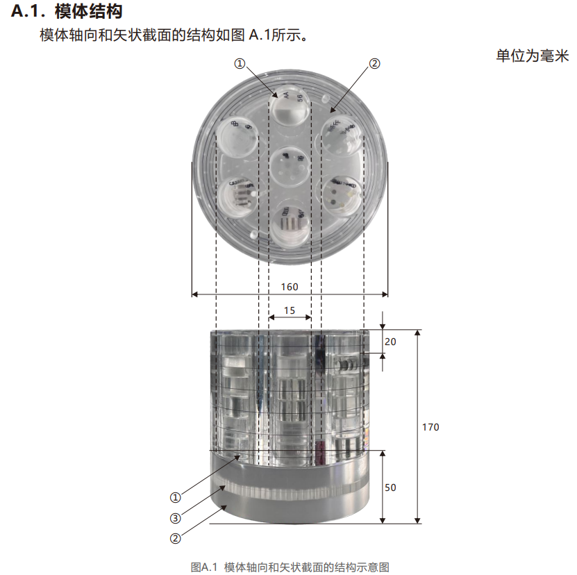 1732860265135 1732860265135