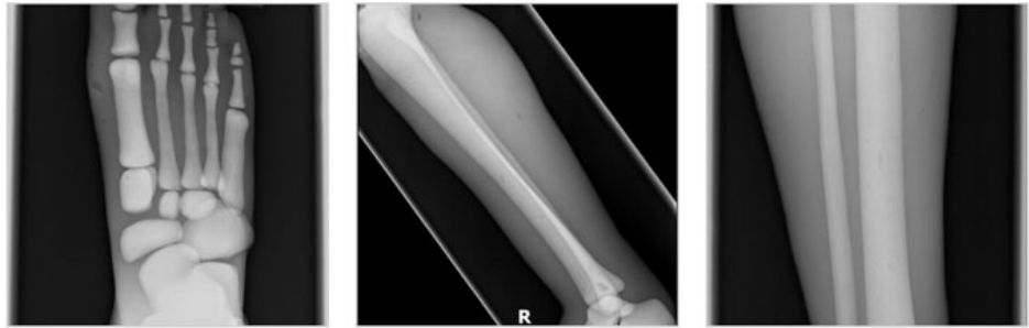 1754624180387 1754624180387